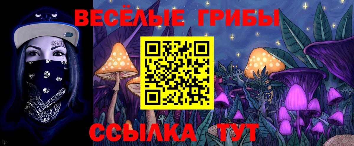 Галлюциногенные грибы Psilocybe  Псилоцибиновые грибы ЛСД  Вход с VPN  цена   Москва 